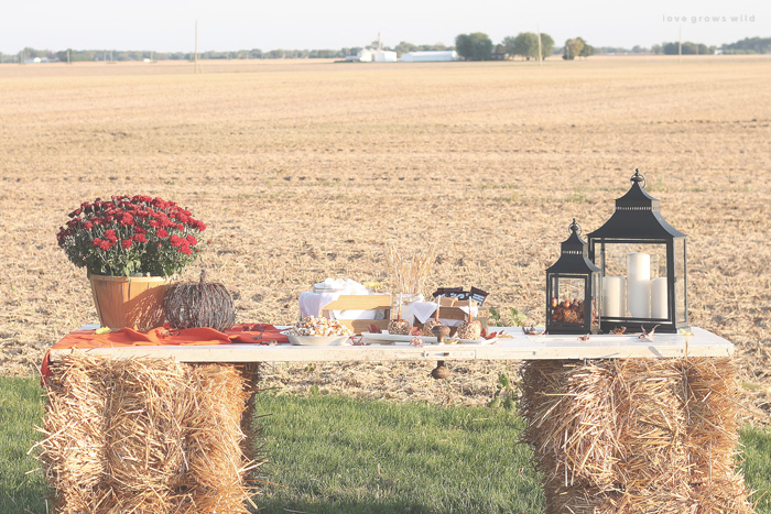 Host a cozy fall bonfire with these decorating tips from LoveGrowsWild.com!