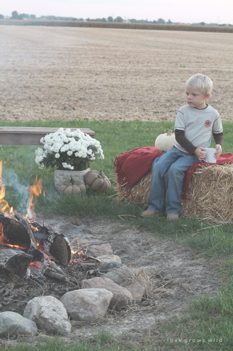 Host a cozy fall bonfire with these decorating tips from LoveGrowsWild.com!