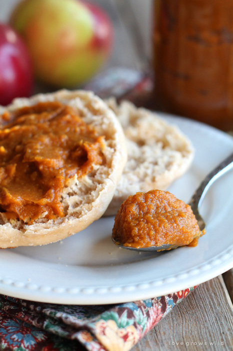 Quick and easy Pumpkin Apple Butter - the perfect sweet spread for toast, biscuits, pancakes, and more! Get the recipe at LoveGrowsWild.com