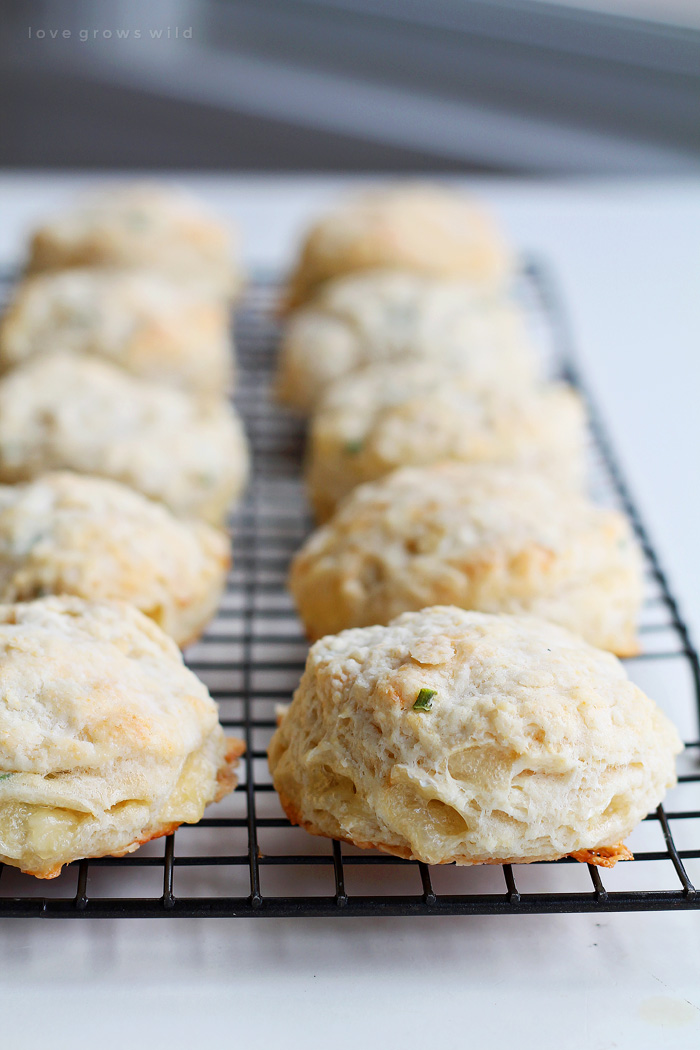 Brie Biscuits Love Grows Wild