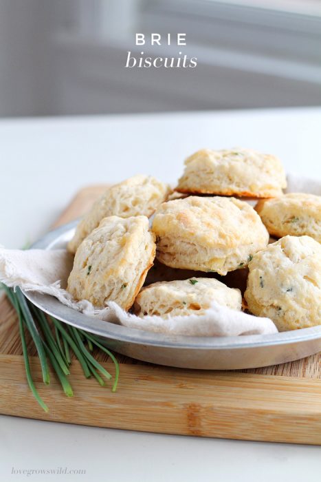 Tender, fluffy biscuits made from scratch with chunks of Brie cheese and chives! The perfect addition to any meal! | LoveGrowsWild.com
