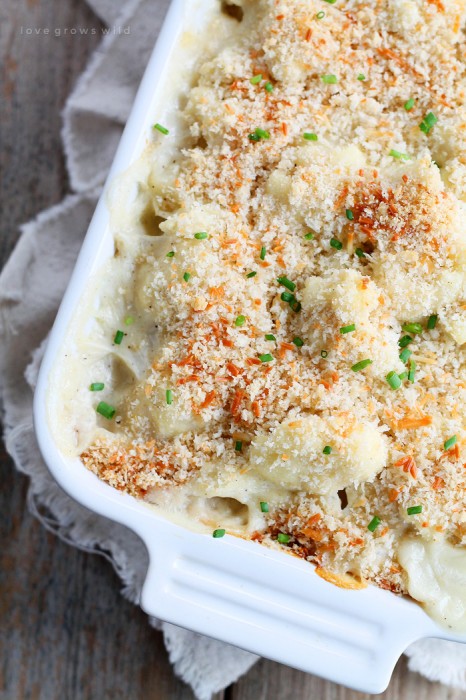Cauliflower baked in a creamy cheese sauce with a crunchy breadcrumb topping! This Cauliflower Gratin is a delicious and easy side dish for any meal| LoveGrowsWild.com