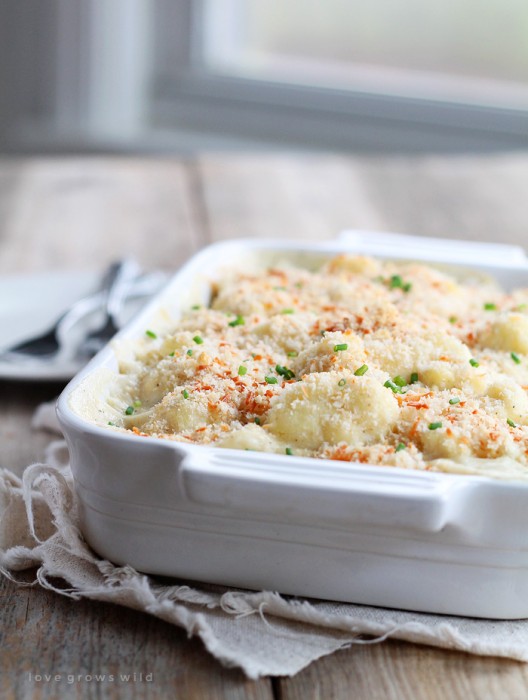 Cauliflower baked in a creamy cheese sauce with a crunchy breadcrumb topping! This Cauliflower Gratin is a delicious and easy side dish for any meal| LoveGrowsWild.com