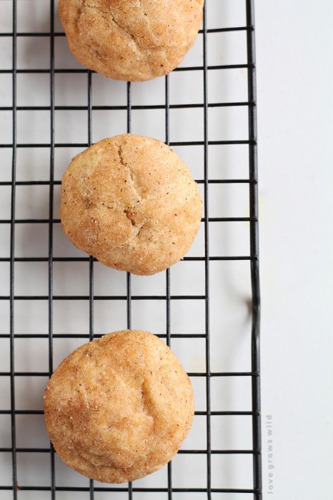Perfect snickerdoodle cookies rolled in cinnamon sugar and infused with pumpkin apple butter! Soft, pillowy, and so sweet! | LoveGrowsWild.com