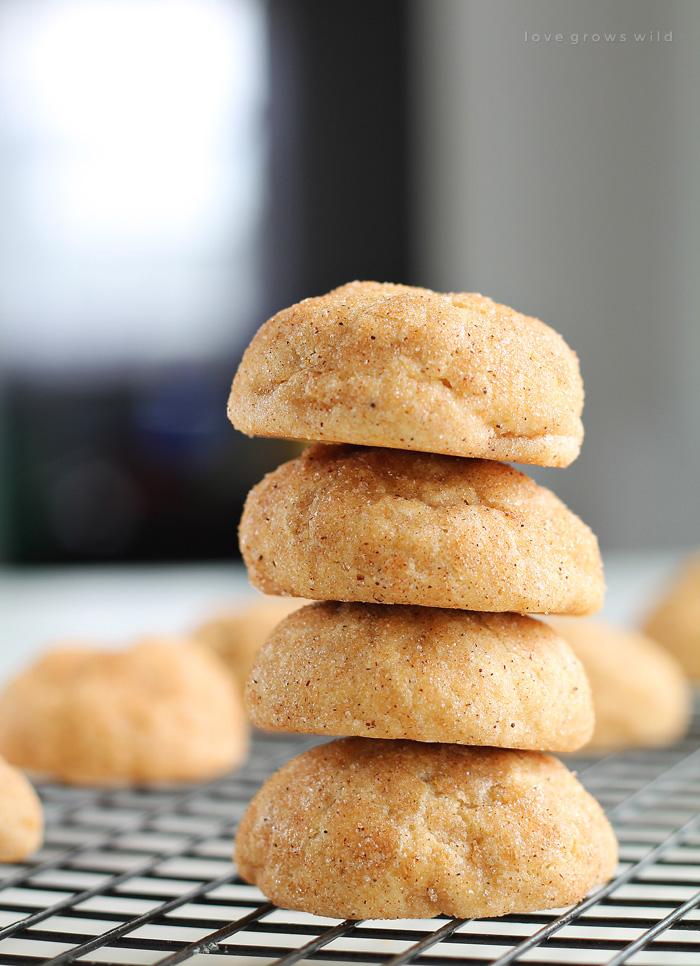 Perfect snickerdoodle cookies rolled in cinnamon sugar and infused with pumpkin apple butter! Soft, pillowy, and so sweet! | LoveGrowsWild.com