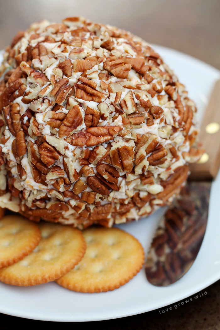 This Bacon Cheddar Cheese Ball is always a party favorite!  Super creamy, loaded with bacon, and wrapped in pecans for a delicious and easy appetizer! | LoveGrowsWild.com