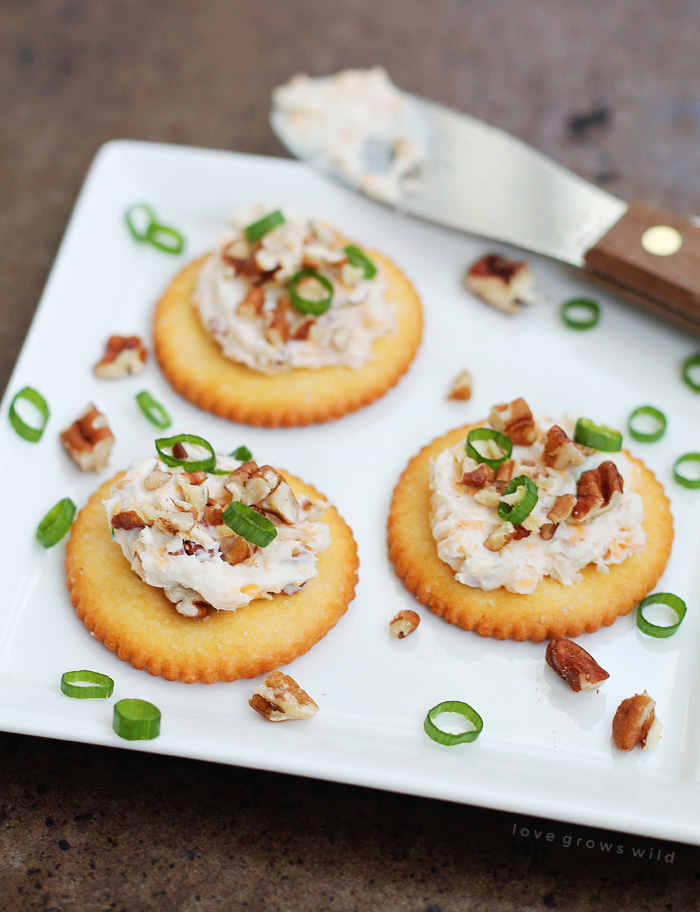 This Bacon Cheddar Cheese Ball is always a party favorite!  Super creamy, loaded with bacon, and wrapped in pecans for a delicious and easy appetizer! | LoveGrowsWild.com