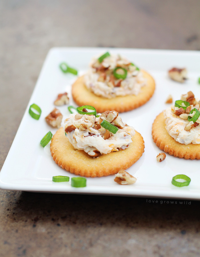 This Bacon Cheddar Cheese Ball is always a party favorite!  Super creamy, loaded with bacon, and wrapped in pecans for a delicious and easy appetizer! | LoveGrowsWild.com