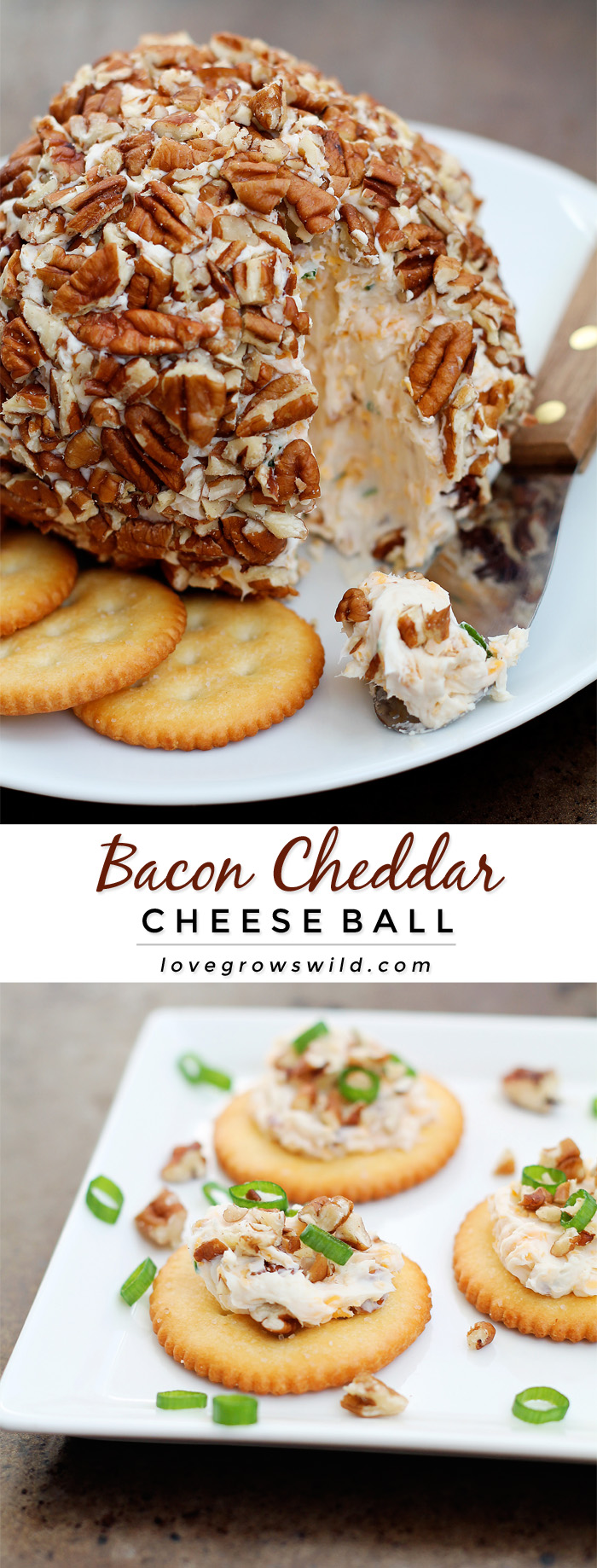 This Bacon Cheddar Cheese Ball is always a party favorite!  Super creamy, loaded with bacon, and wrapped in pecans for a delicious and easy appetizer! | LoveGrowsWild.com