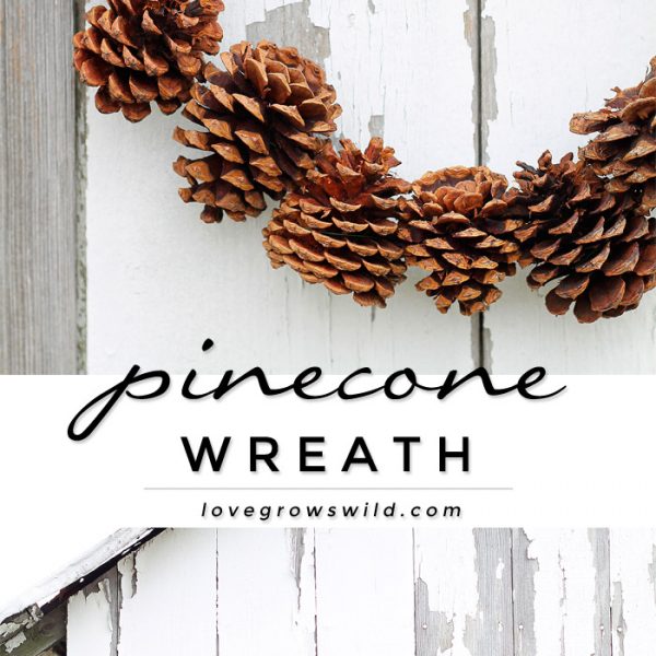 Make this beautiful, rustic Pinecone Wreath with just 3 supplies! So easy to do! More details at LoveGrowsWild.com