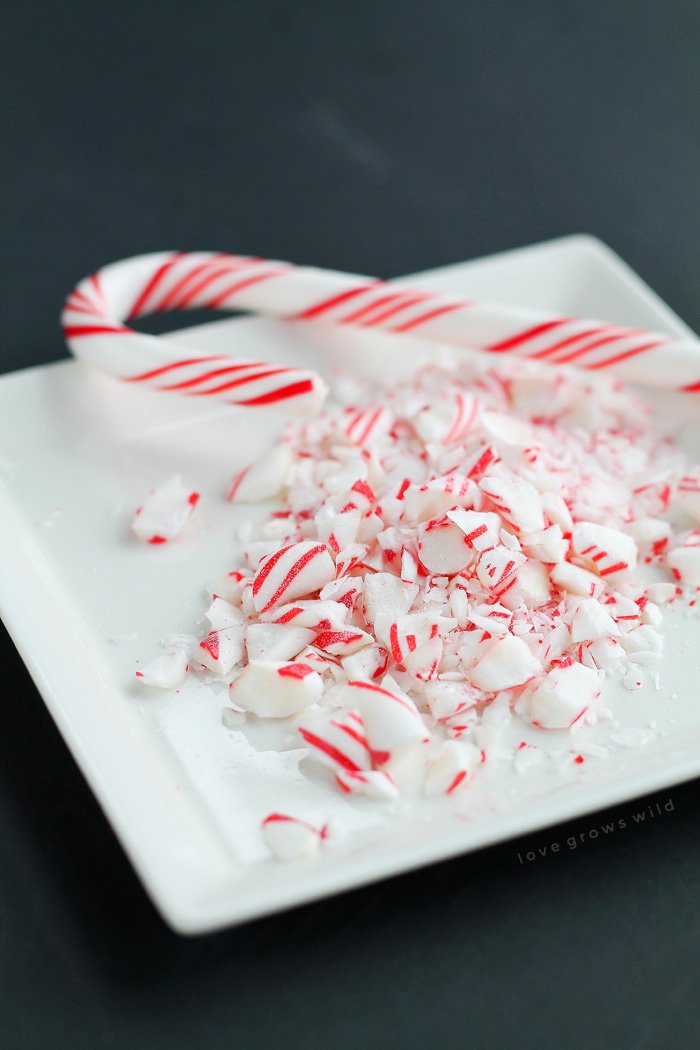 This Peppermint Mocha Coffee is the perfect holiday beverage to start your day! You will love the deliciously sweet chocolate-peppermint flavor, and it is SO simple to make! | LoveGrowsWild.com