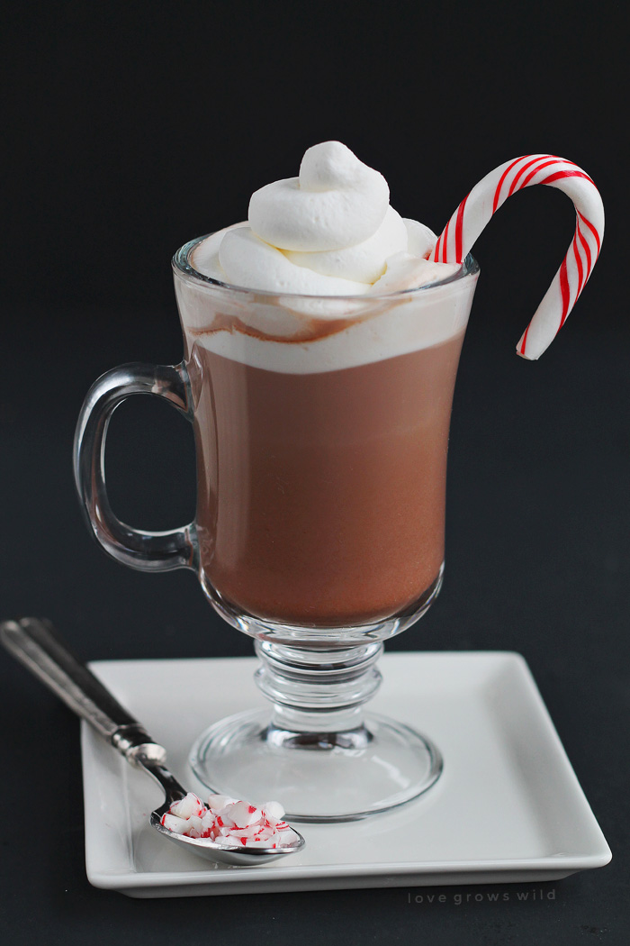 This Peppermint Mocha Coffee is the perfect holiday beverage to start your day! You will love the deliciously sweet chocolate-peppermint flavor, and it is SO simple to make! | LoveGrowsWild.com