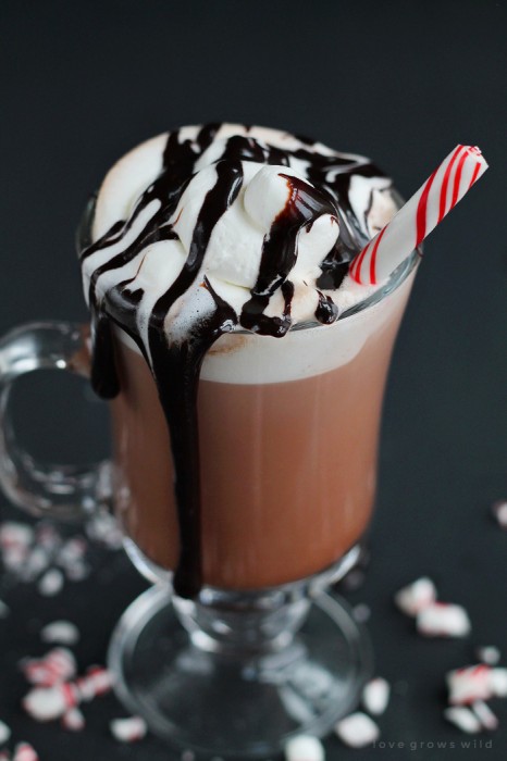 This Peppermint Mocha Coffee is the perfect holiday beverage to start your day! You will love the deliciously sweet chocolate-peppermint flavor, and it is SO simple to make! | LoveGrowsWild.com