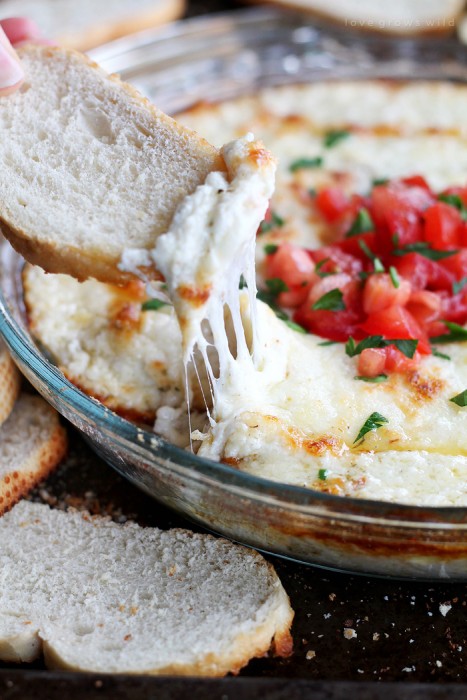 This hot, bubbling Smoked Mozzarella Dip is the ultimate party food! 4 different cheeses all melted into one delicious appetizer that is perfect for dipping! | LoveGrowsWild.com