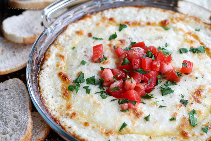 This hot, bubbling Smoked Mozzarella Dip is the ultimate party food! 4 different cheeses all melted into one delicious appetizer that is perfect for dipping! | LoveGrowsWild.com