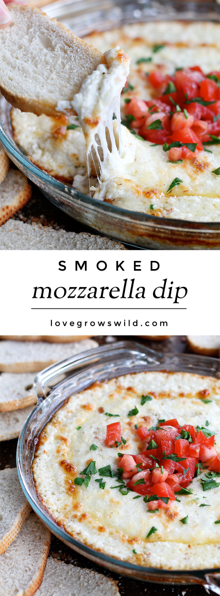 smoked mozzarella fonduta