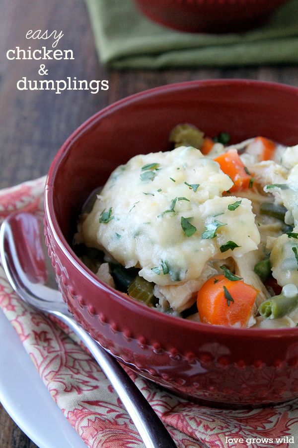 Slow Cooker Chicken Wild Rice Soup - Love Grows Wild