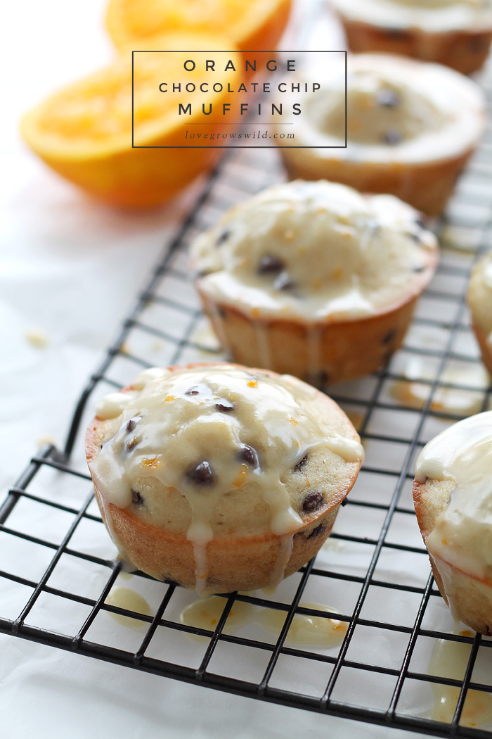 Sweet orange muffins loaded with chocolate chips and drizzled with a delicious orange glaze! The chocolate-citrus combination is so yummy and perfect for breakfast or snack time! | LoveGrowsWild.com