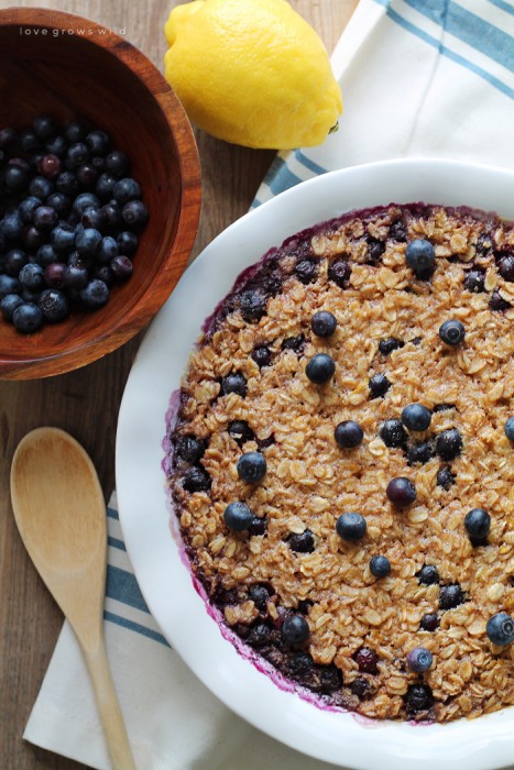 Start your morning off right with this blueberry lemon baked oatmeal! Easy to make and reheats beautifully so you can have a delicious, healthy breakfast all week long. | LoveGrowsWild.com