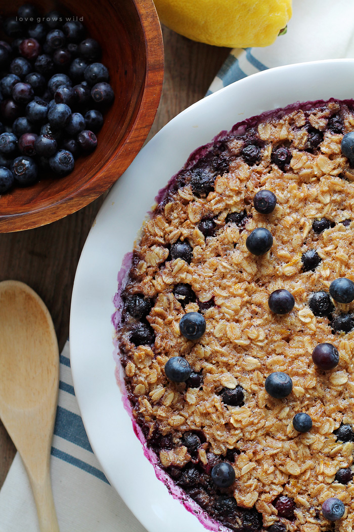 Start your morning off right with this blueberry lemon baked oatmeal! Easy to make and reheats beautifully so you can have a delicious, healthy breakfast all week long. | LoveGrowsWild.com