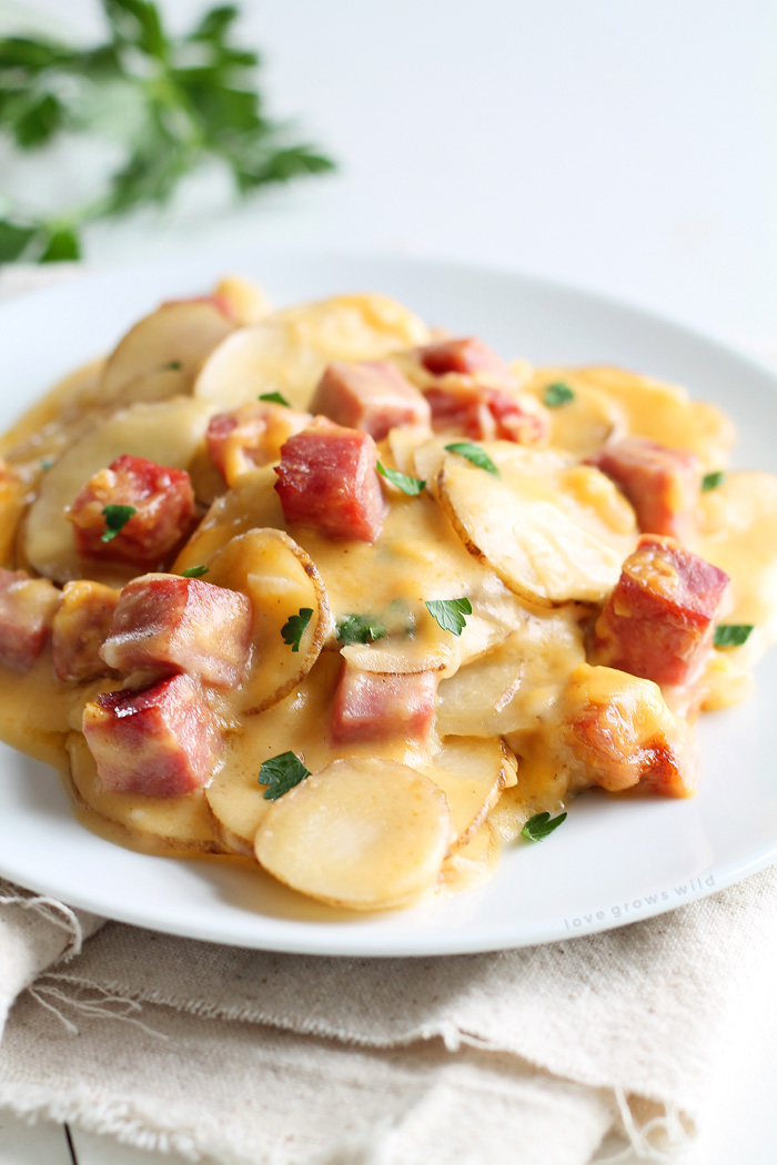 Thinly sliced potatoes and diced ham smothered in a creamy, super cheesy sauce and baked to perfection! Get the recipe at LoveGrowsWild.com