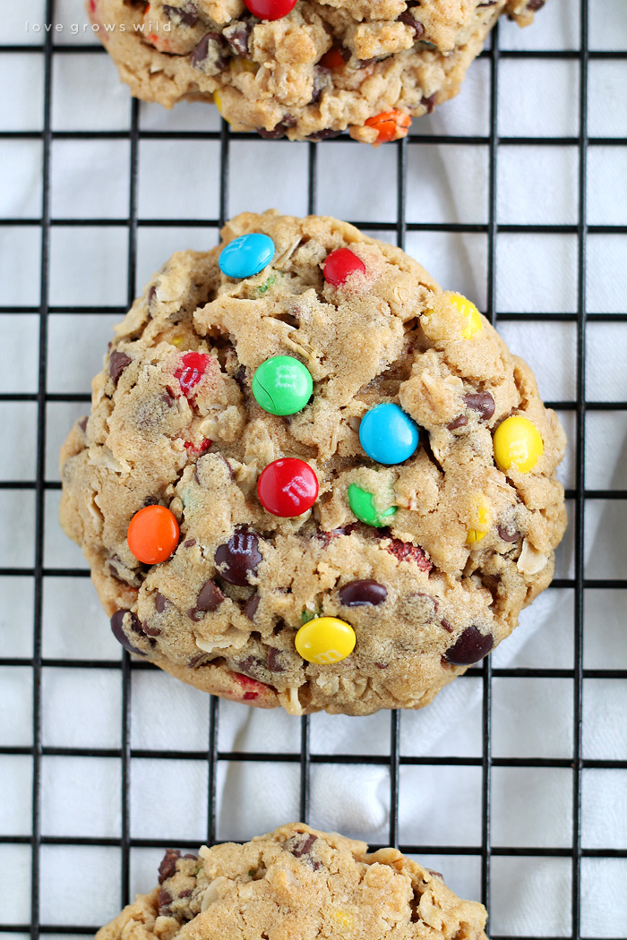 Big, chewy peanut butter cookies loaded with sweet chocolate chips, M&M candies, and oats!  Get the recipe at LoveGrowsWild.com