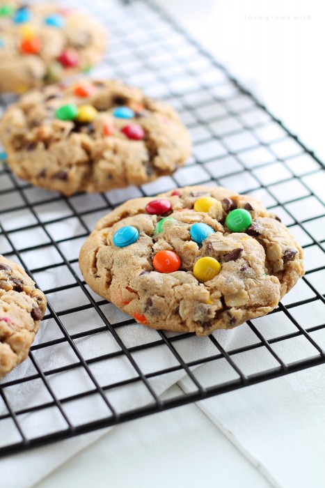 Big, chewy peanut butter cookies loaded with sweet chocolate chips, M&M candies, and oats! Get the recipe at LoveGrowsWild.com