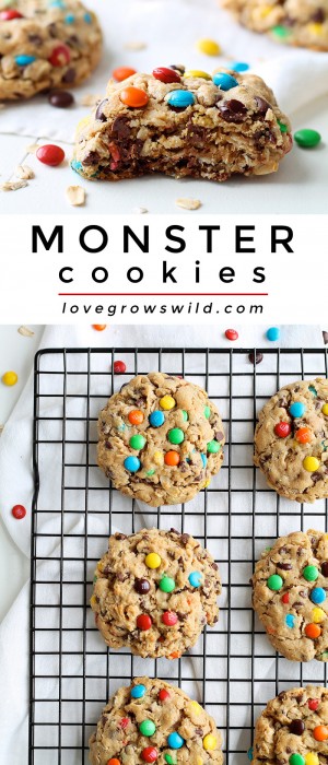 Big, chewy peanut butter cookies loaded with sweet chocolate chips, M&M candies, and oats! Get the recipe at LoveGrowsWild.com