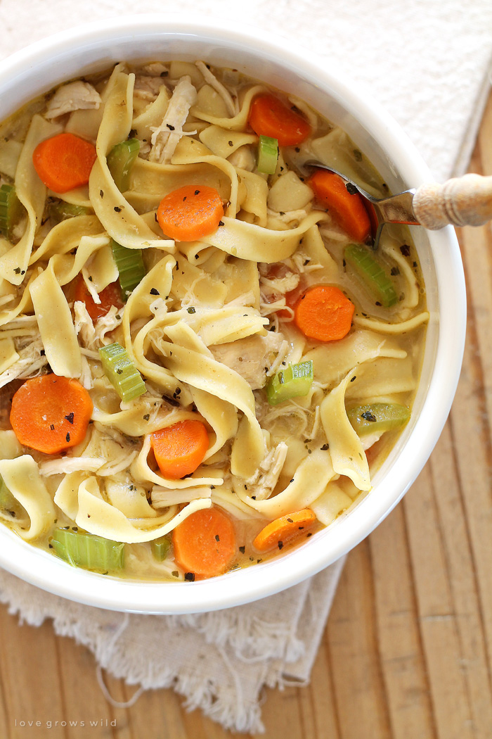 Delicious homemade Chicken Noodle Soup ready in under 30 minutes! Get the recipe for this easy meal at LoveGrowsWild.com