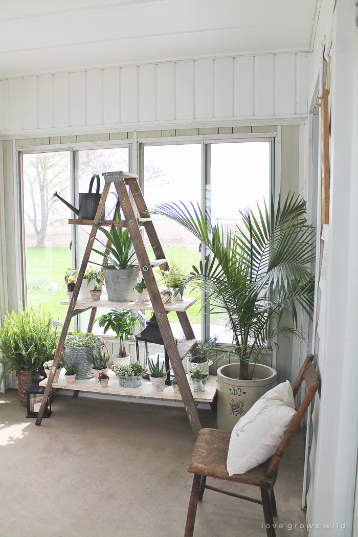 Antique Ladder Shelving Love Grows Wild