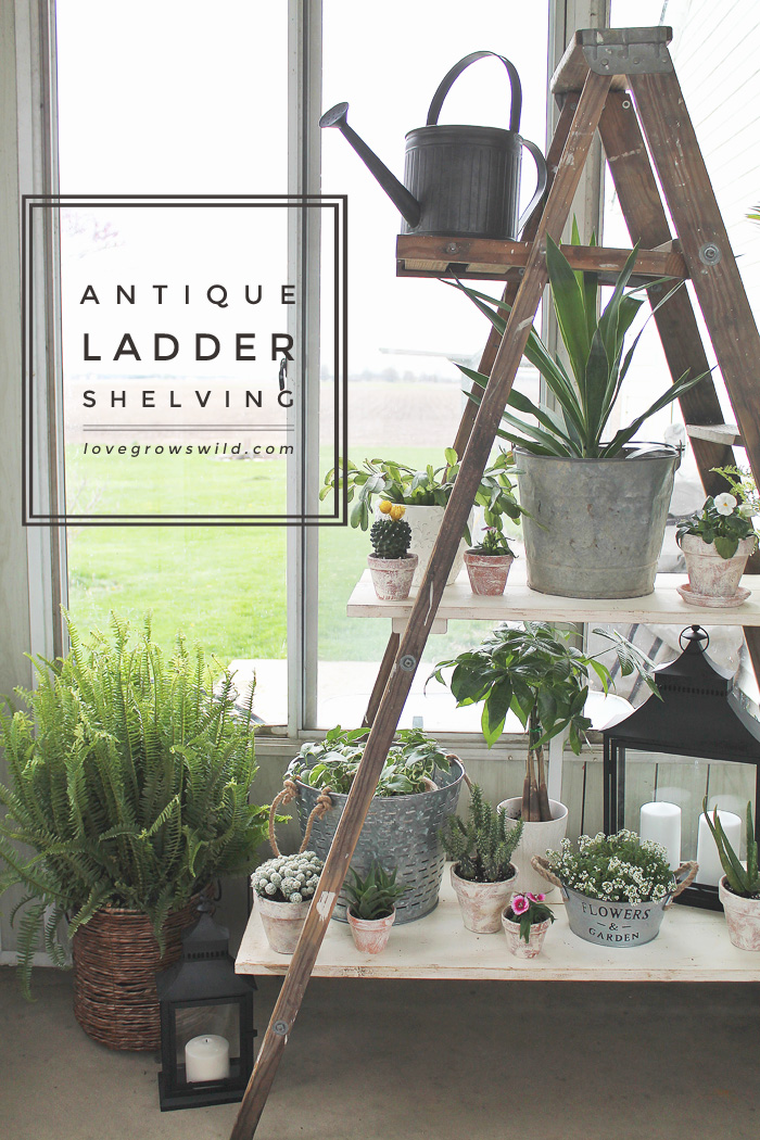 Small wooden store ladder shelf