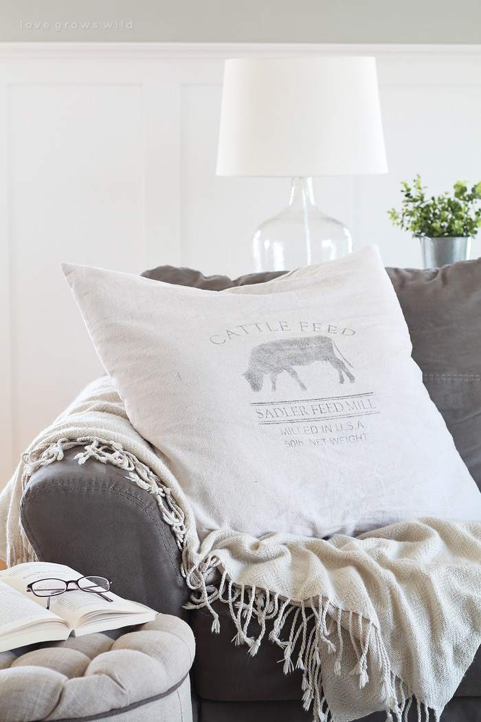 Inexpensive throw best sale pillow covers