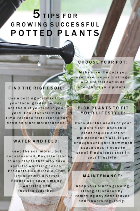 Remember these 5 easy tips for growing successful potted plants! More details at LoveGrowsWild.com