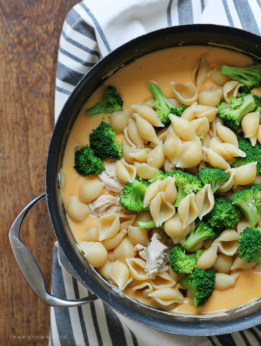Perfectly creamy homemade shells and cheese made with chicken and broccoli. Everyone loves this easy weeknight meal! Get the recipe at LoveGrowsWild.com