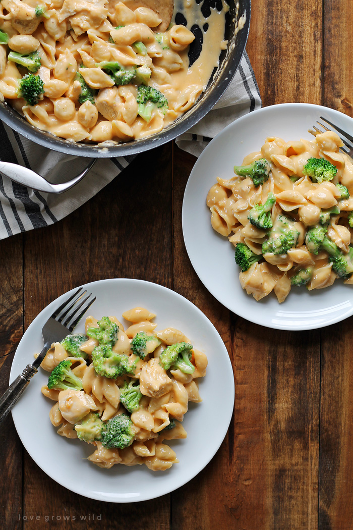  Perfekt cremige hausgemachte Muscheln und Käse mit Hühnchen und Brokkoli. Jeder liebt diese einfache Mahlzeit unter der Woche! Holen Sie sich das Rezept unter LoveGrowsWild.com