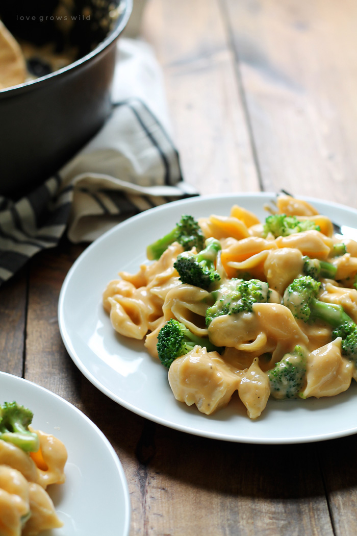 Perfectly creamy homemade shells and cheese made with chicken and broccoli. Everyone loves this easy weeknight meal! Get the recipe at LoveGrowsWild.com