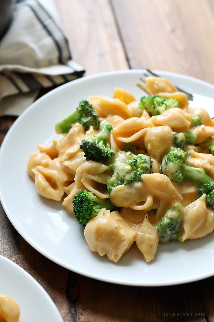 Perfect romige zelfgemaakte schelpen en kaas gemaakt met kip en broccoli. Iedereen houdt van deze eenvoudige doordeweekse maaltijd! Haal het recept op LoveGrowsWild.com