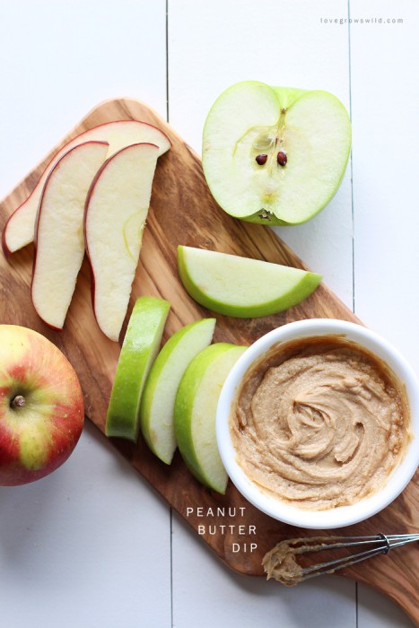 Whip up this easy, 4 ingredient Peanut Butter Dip whenever you need a light, protein-packed snack! Use it to dip apple slices, pretzels, and more. SO peanut-buttery and delicious! Get the recipe at LoveGrowsWild.com