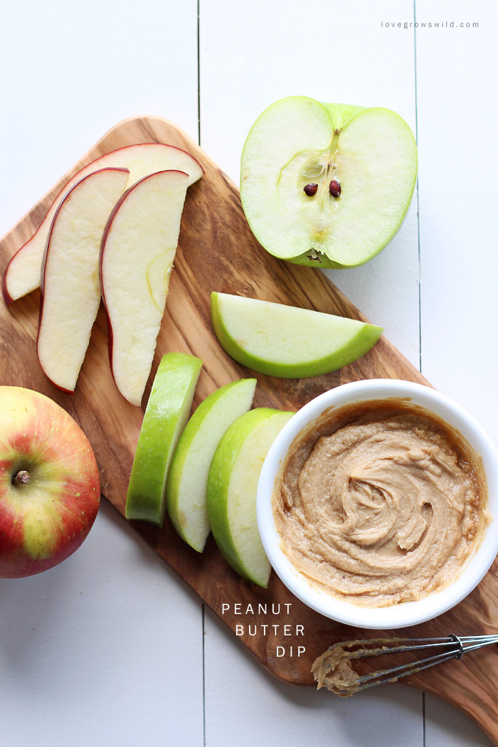 Peanut Butter Dip - Love Grows Wild