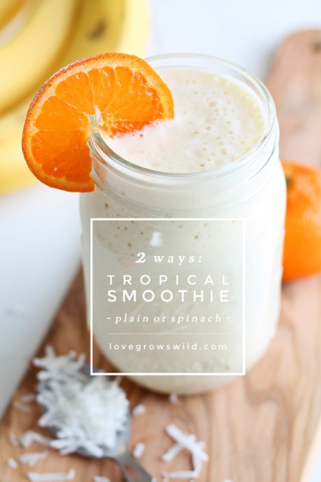 Start your day with a delicious Tropical Smoothie made with orange, banana, pineapple, and coconut! This recipe can be two ways: plain or green (with spinach)! Click to see more at LoveGrowsWild.com