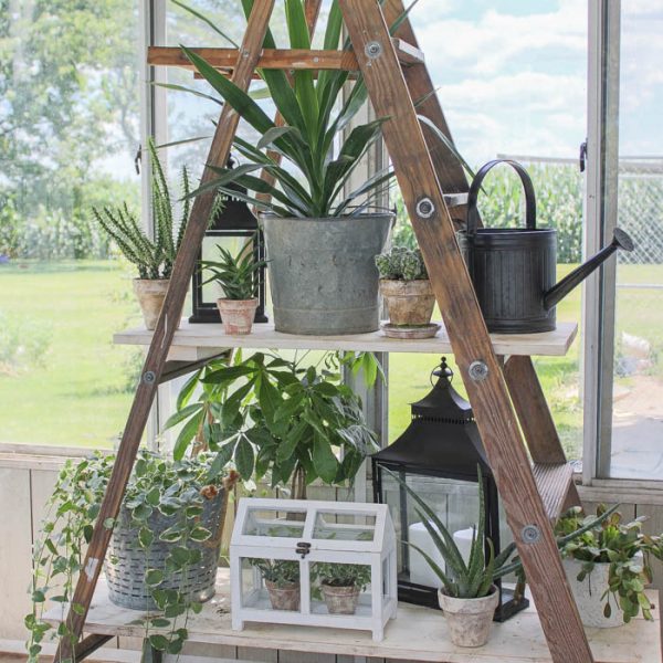 Click to see more photos of this lush and lovely potted garden on DIY ladder shelving! | LoveGrowsWild.com