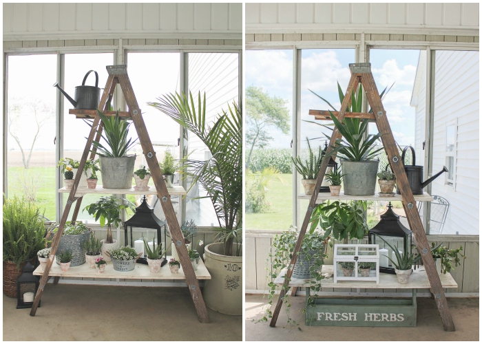 Click to see more photos of this lush and lovely potted garden on DIY ladder shelving! | LoveGrowsWild.com
