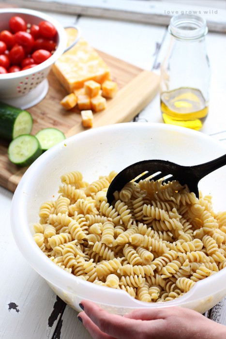 The perfect pasta salad recipe! Tender noodles tossed in a zesty Italian dressing with vegetables, meat, and cheese... great for a potluck or a light meal! | LoveGrowsWild.com
