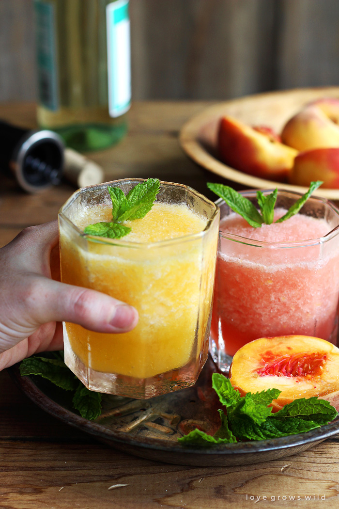 This wine slush is the perfect sip on a hot summer day!  Just blend wine and fruit together and freeze into ice cubes, then enjoy a grown-up slushie whenever the mood strikes. | LoveGrowsWild.com