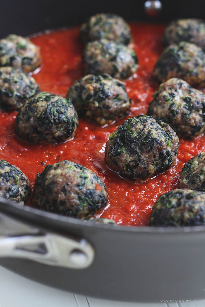 https://lovegrowswild.com/wp-content/uploads/2015/08/Florentine-Meatballs-4.jpg