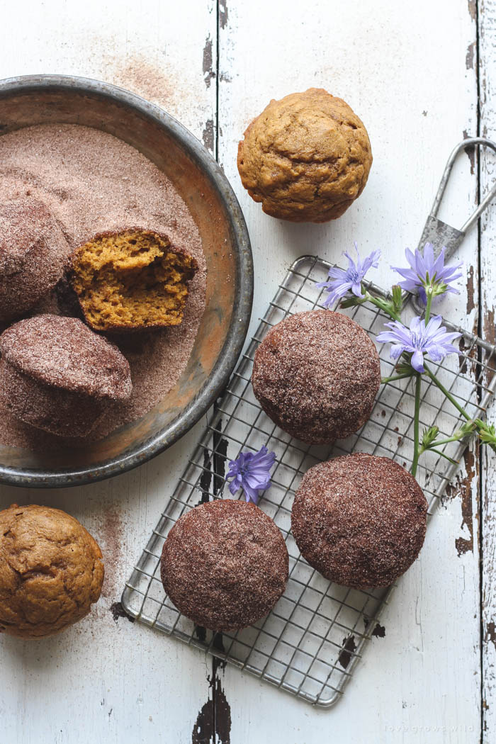 Warm, fluffy pumpkin muffins with a crunchy cinnamon sugar coating... the perfect fall breakfast, snack, or treat! | LoveGrowsWild.com