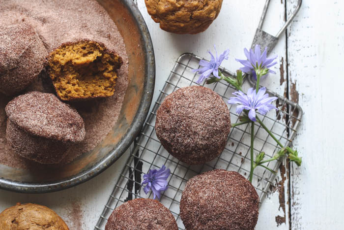 Warm, fluffy pumpkin muffins with a crunchy cinnamon sugar coating... the perfect fall breakfast, snack, or treat! | LoveGrowsWild.com