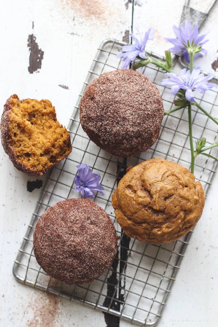 Warm, fluffy pumpkin muffins with a crunchy cinnamon sugar coating... the perfect fall breakfast, snack, or treat! | LoveGrowsWild.com