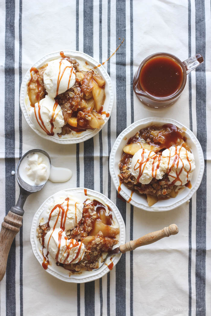 https://lovegrowswild.com/wp-content/uploads/2015/09/Salted-Caramel-Apple-Crisp-6.jpg