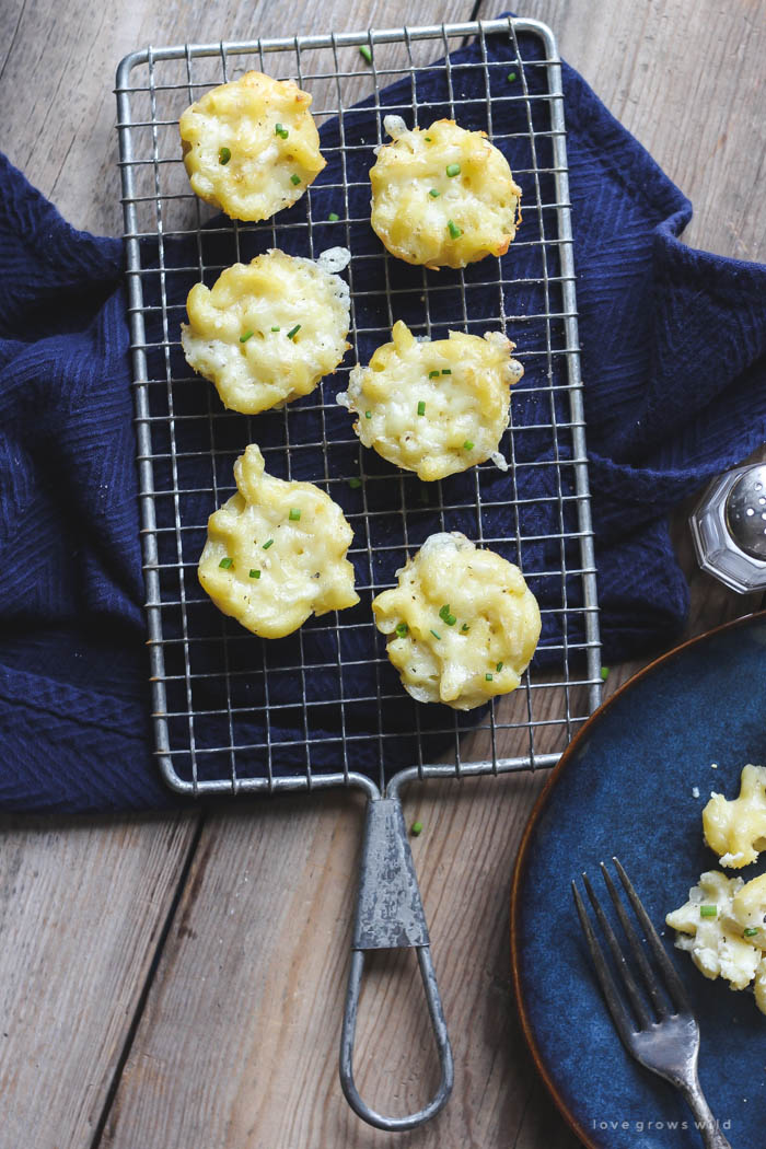 Delicious, creamy mac and cheese baked in little muffin tins for perfect individual portions! Freezes and re-heats beautifully and sneaks in a serving of veggies! Recipe at LoveGrowsWild.com